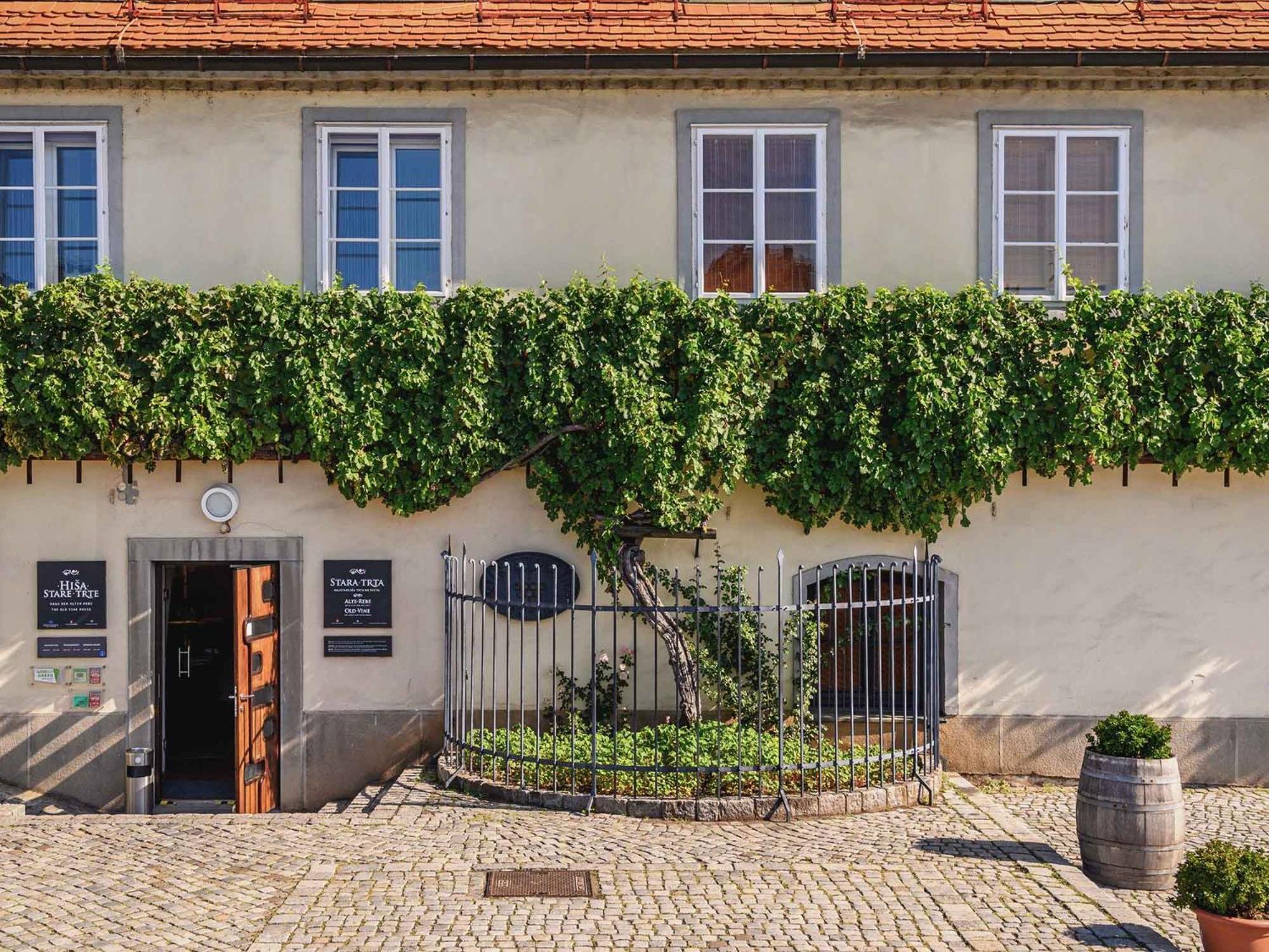 Kavenija Apartmaji - Free Parking Maribor Exterior foto